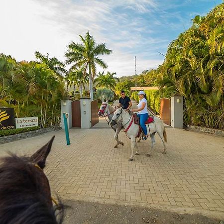 Hotel Palma De Oro Punta Islita Eksteriør billede