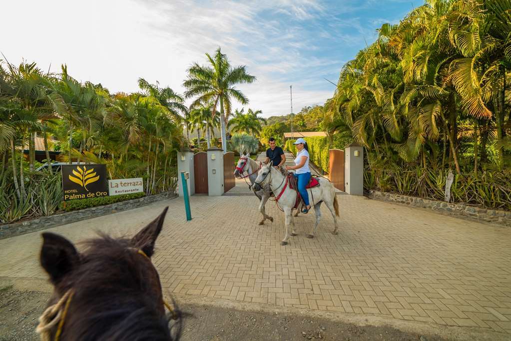 Hotel Palma De Oro Punta Islita Eksteriør billede